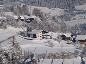 Spacious Apartment in Afritz am See near Ski Area